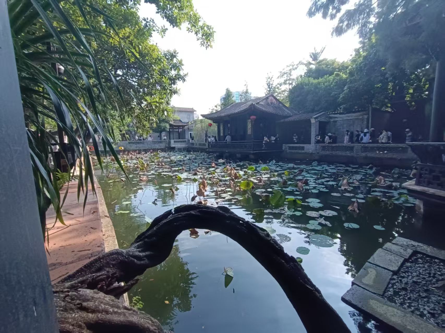 广东-佛山-顺德