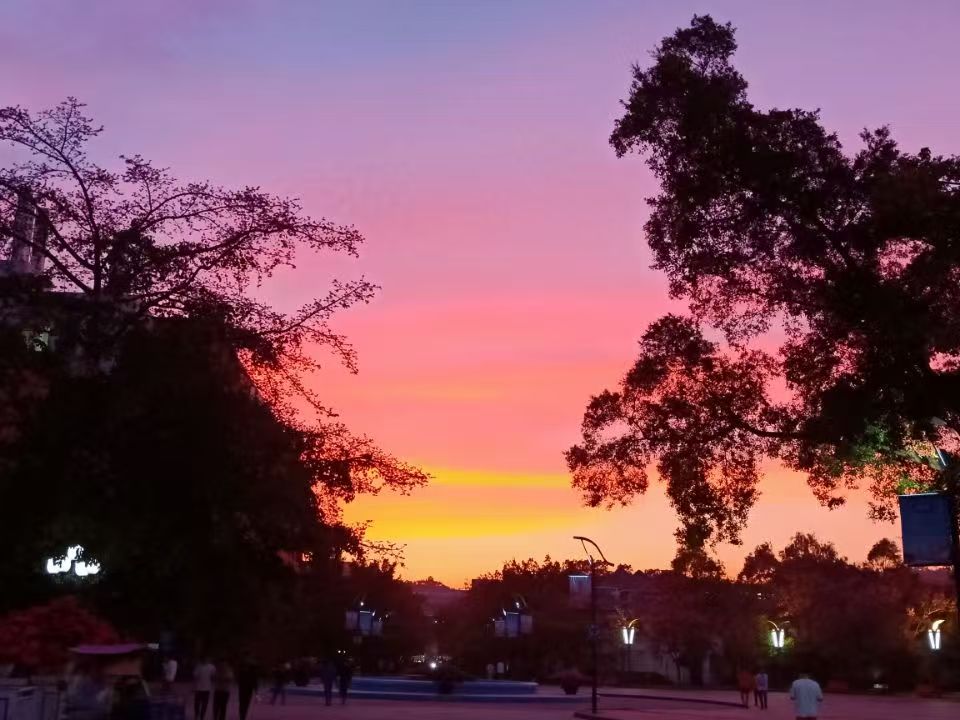 广东-广州-华软3