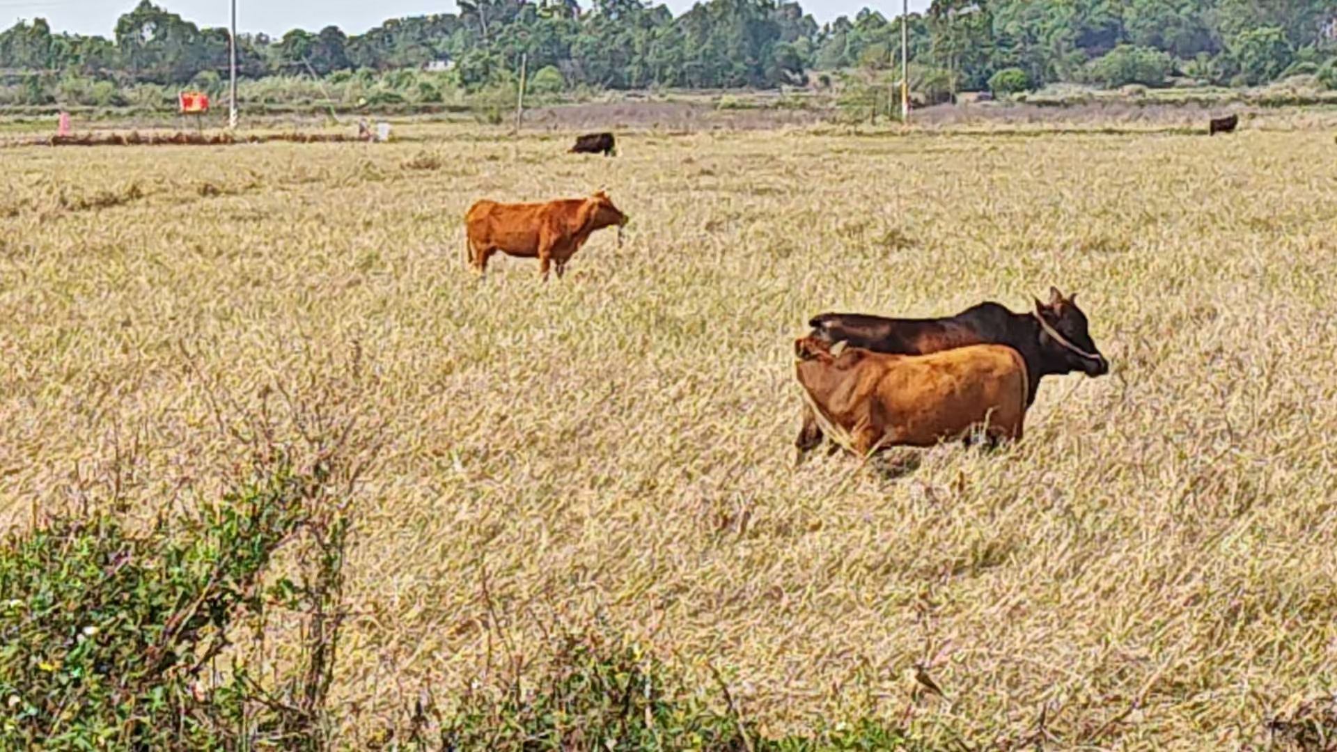 广东-深圳-海岸城